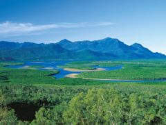 Hinchinbrook Island: