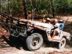 Catching bulls in Cape York