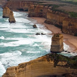 Sow and Piglets 12 Apostles