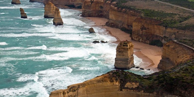 Sow and Piglets 12 Apostles