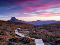 Overland Track Sunset