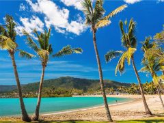 Airlie beach