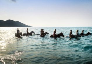 A swim with horses in where else but Horseshoe Bay, Magnetic Island