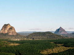 Forested Glass house Mountains Sunshine Coast