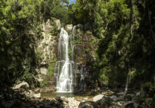 Shellharbour food and accommodation