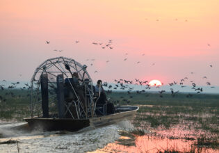 Wild Bush Luxury tour on BamurruPlains