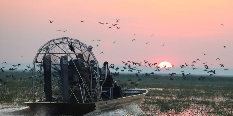 Wild Bush Luxury tour on BamurruPlains