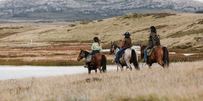 Bogong Horseback Adventures