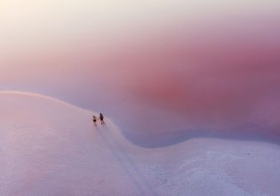 Tim Flannery: “We have a wonderful opportunity to heal the world”