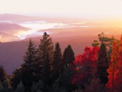 Blue Mountains Botanic Garden sits on the summit of Mount Tomah