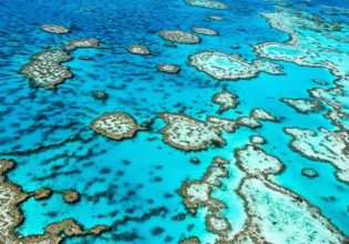 Great Barrier Reef, QLD