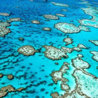 Great Barrier Reef, QLD