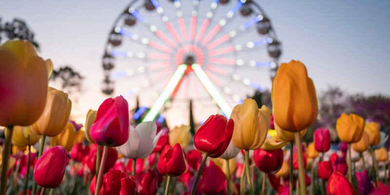 Floriade in Canberra