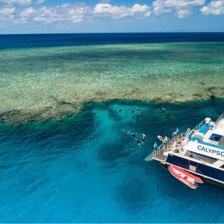 The best Great Barrier Reef tours in Far North Queensland