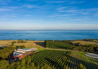 Geelong wineries