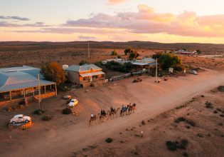 Silverton Outback Camels in Broken Hill