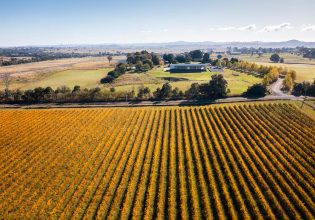 Stomp Festival Canberra Wine District - Tourism Australia