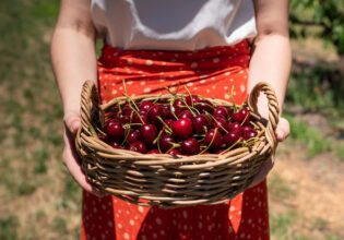 Valley Fresh Cherries in Young NSW