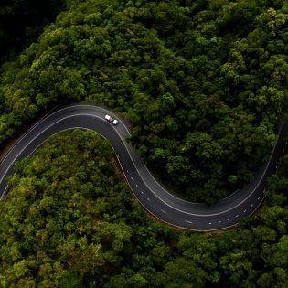 Driving through the Daintree Rainforest. (Image: Tourism and Events Queensland)