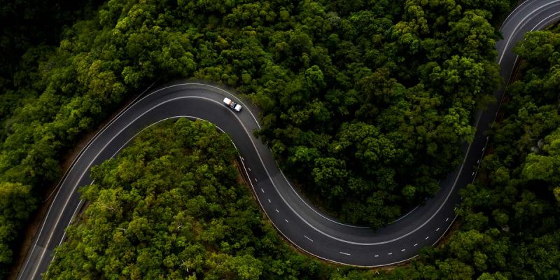 Driving through the Daintree Rainforest. (Image: Tourism and Events Queensland)