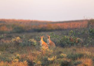 Cape Keraudren Warlu Way