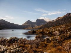 cradle mountain road trip