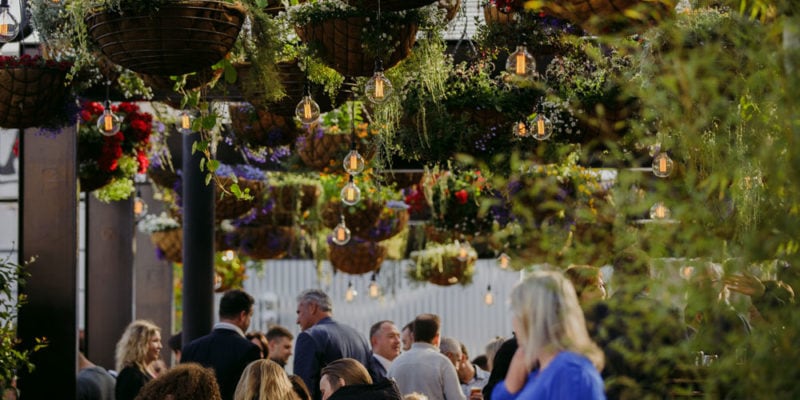 In the hanging garden