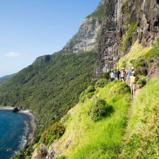 a group of hikers on a scenic walk up Mount Gower, Lord Howe Island