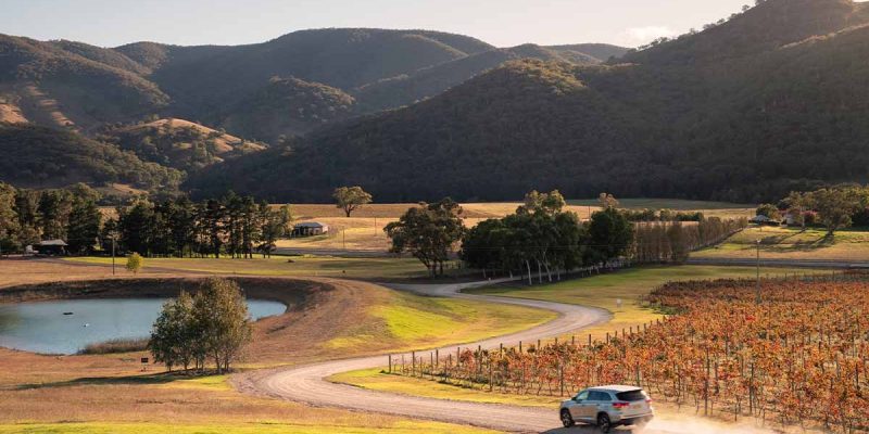 Logan Wines, near Mudgee, NSW, Australia
