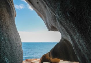 Unusual facts about Kangaroo Island