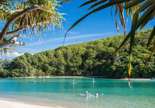 18 things to do in Palm Beach, Queensland