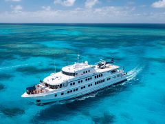 Which cruise line? The dummy’s guide to choosing a cruise