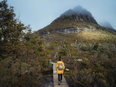 Walk in Cradle Mountain National Park