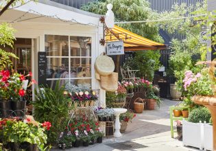 charming side of Green Lane