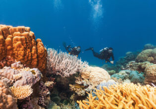 A guide to the best snorkelling and diving spots in Cairns