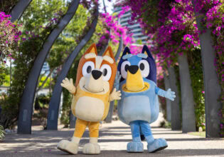 Bluey and Bingo along the Grand Arbour’s vibrant Bougainvillea flower display