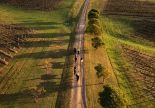 an aerial view of Hunter Valley Horses, Pokolbin