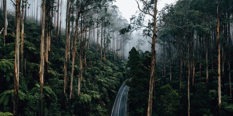 Black spur drive moody