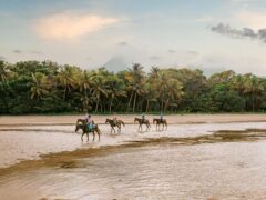 Cape Trib Horse Rides