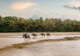 Cape Trib Horse Rides