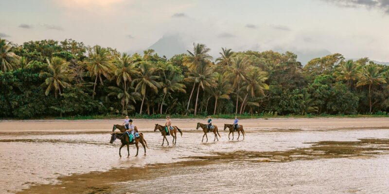 Cape Trib Horse Rides