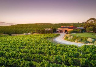 the outside view of the expansive Coriole vineyards