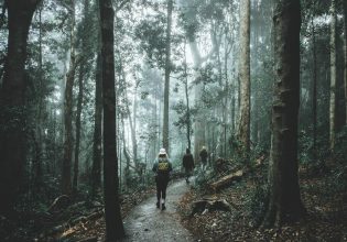 Friends enjoying the scenery along the Crystal Shower Falls walk in Dorrigo National