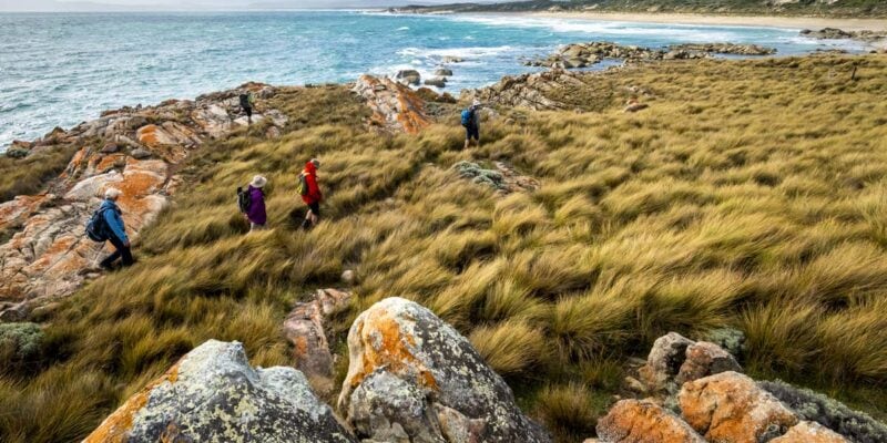 Walkers on Tasmanian Expeditions Flinders Island Walking Advenure in Comfort