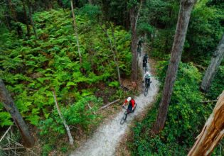 24 memorable things to do in Merimbula