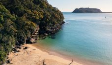 Man enjoying a morning walk along Resolute Beach in Ku-ring-gai National Park.