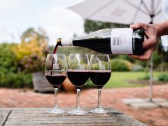 Shottesbrooke Wine McLaren Vale