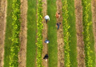 Group enjoying a tour of vineyards with Orange Wine Tours in Orange