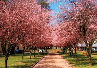 views of Orange Spring