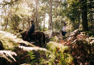 Zephyr Horses Byron Bay
